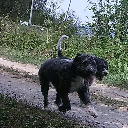 La Cuccia Del Sole Appartamento *