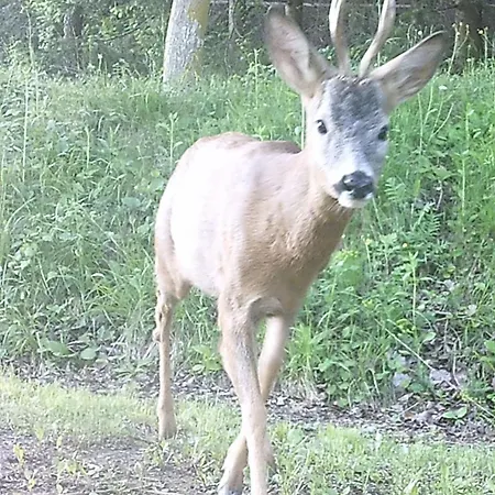 Appartamento La Cuccia Del Sole Cortemilia