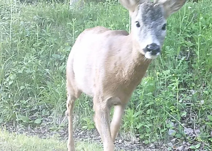 Appartement La Cuccia Del Sole Cortemilia
